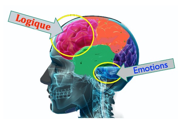 Le QI est mort, vive le QE (Quotient Emotionnel)